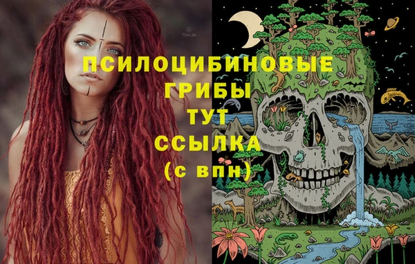 бошки Балахна