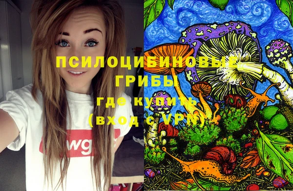 бошки Балахна