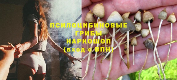 стафф Баксан